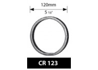 CR123~~RING 120MM - PLAT 20x6MM