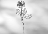 ROSE 200X70MM