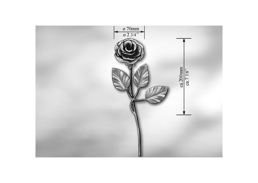 ROSE 200X70MM