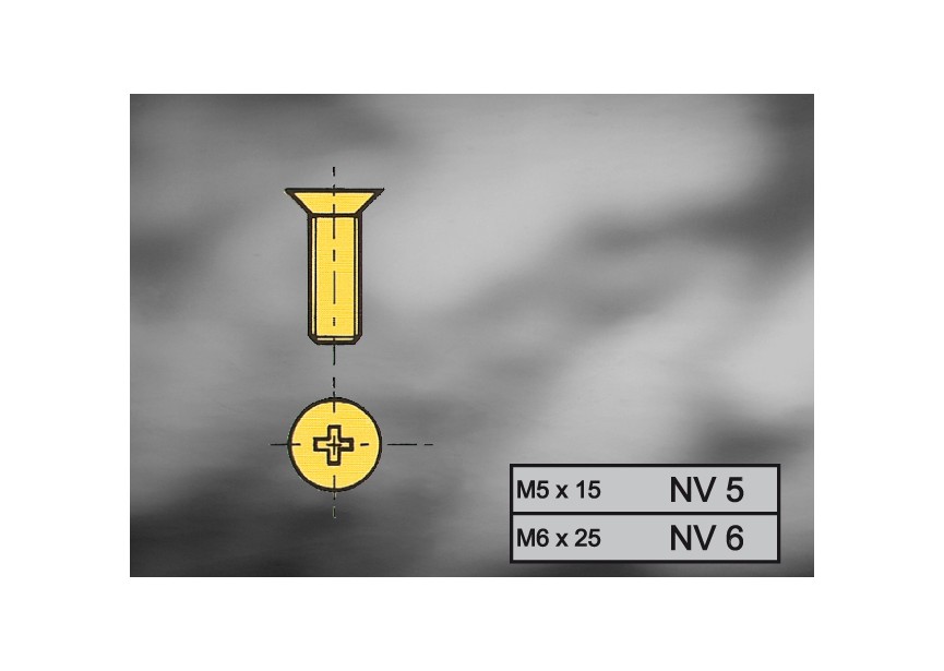 NV6~~NEW-YORK - MESSING  SCHROEF - VERP PER 100 ST. !!!