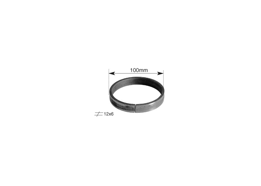 CR101~~RING - DIAM. 100MM-PLAT 12X6MM