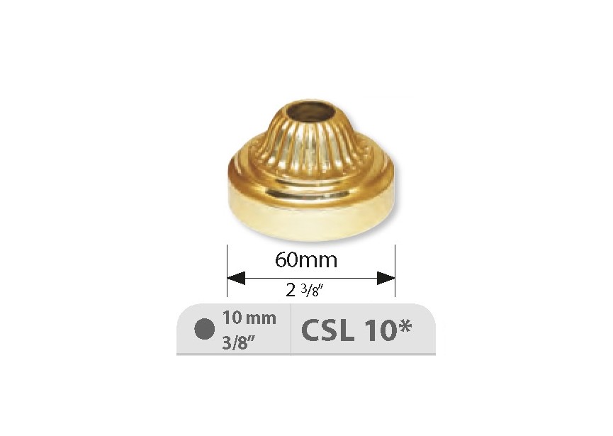 CSL10~~CSL10