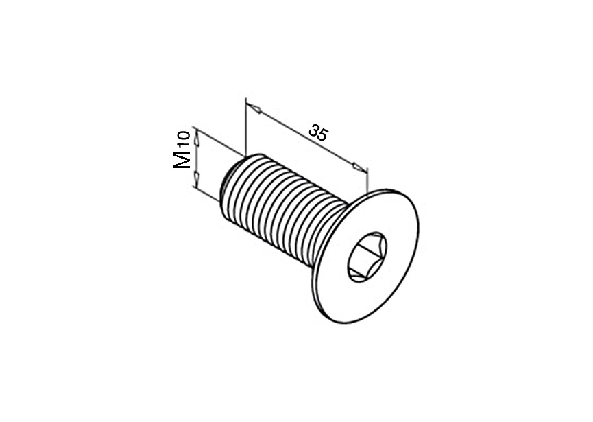 Vis TFHC  - M10 x 35 - inox 304