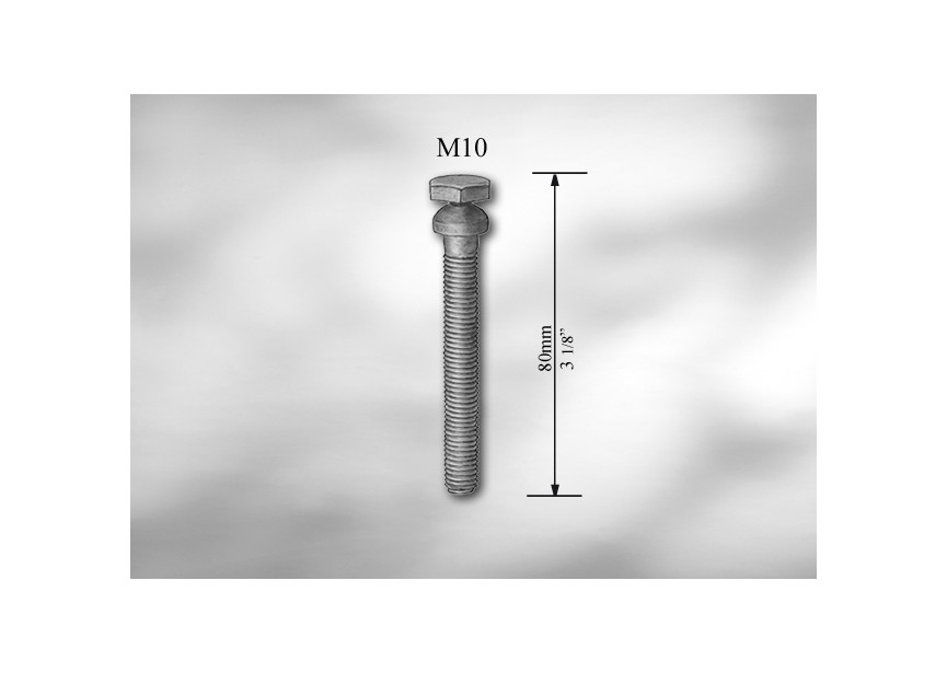 VIS DE SECURITE INDESERRA M10 - L. 80MM