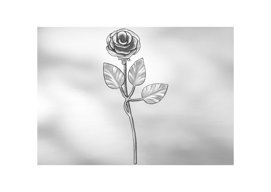 ROSE 200X70MM