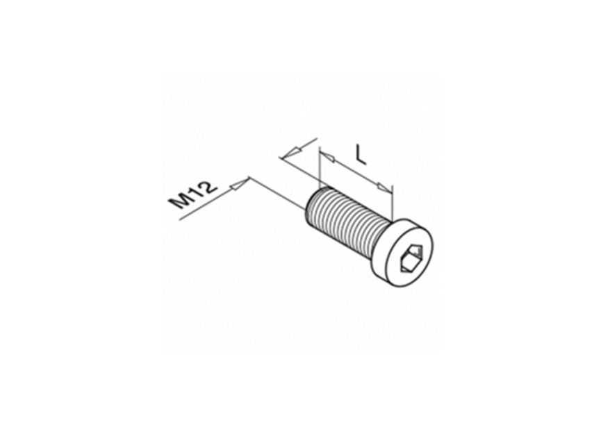 250662-230~~Shrm bin6kant,DIN 7984,vrzink staal,M12x30mm,QS-222 VPE 50st